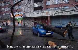Автомобильные демотиваторы часть 450)