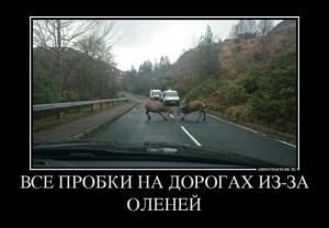 Автомобильные демотиваторы часть 450)