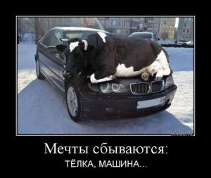Автомобильные демотиваторы часть 451)