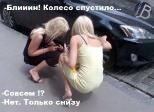 Автомобильные демотиваторы часть 451)
