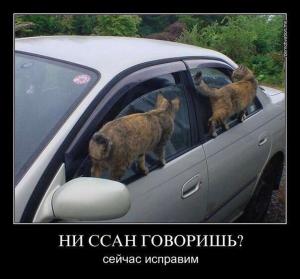 Автомобильные демотиваторы часть 453)