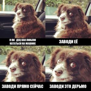 Автомобильные демотиваторы часть 455)
