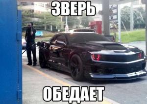 Автомобильные демотиваторы часть 455)