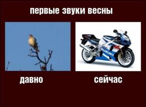 Автомобильные демотиваторы часть 457)
