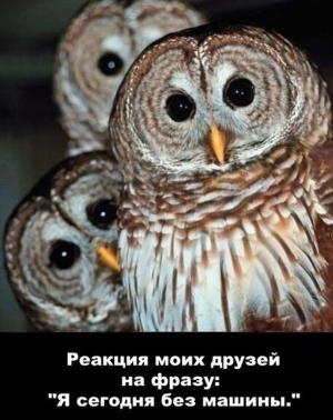 Автомобильные демотиваторы часть 459)