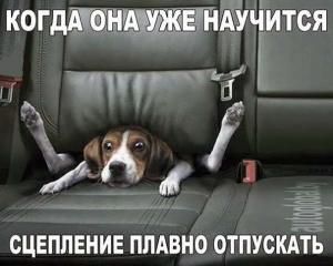 Автомобильные демотиваторы часть 459)