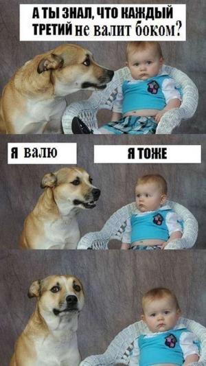 Автомобильные демотиваторы часть 460)