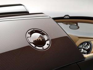 2014 Bugatti Veyron 16.4 Grand Sport Vitesse Legend Rembrandt Bugatti