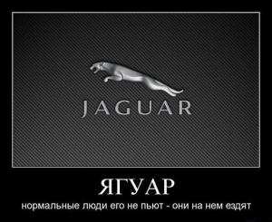 Автомобильные демотиваторы часть 462)