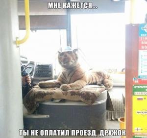 Автомобильные демотиваторы часть 463)