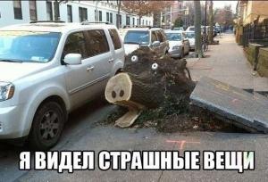 Автомобильные демотиваторы часть 463)