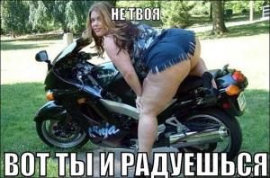 Автомобильные демотиваторы часть 470)