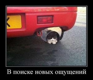 Автомобильные демотиваторы часть 470)