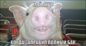 Автомобильные демотиваторы часть 470)