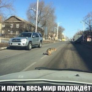 Автомобильные демотиваторы часть 472)