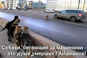 Автомобильные демотиваторы часть 473)