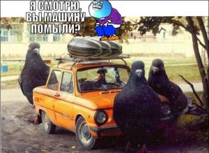 Автомобильные демотиваторы часть 473)