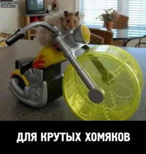 Автомобильные демотиваторы часть 474)