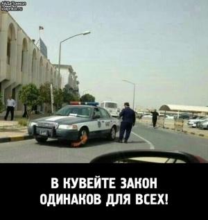 Автомобильные демотиваторы часть 475)