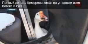 Автомобильные демотиваторы часть 476)