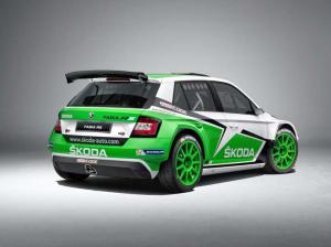 2015 Skoda Fabia R5