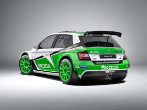 2015 Skoda Fabia R5