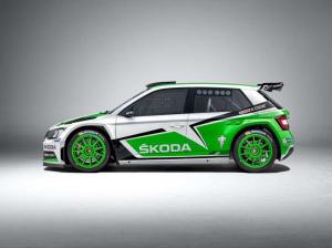 2015 Skoda Fabia R5
