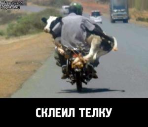 Автомобильные демотиваторы часть 478)