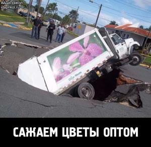 Автомобильные демотиваторы часть 478)