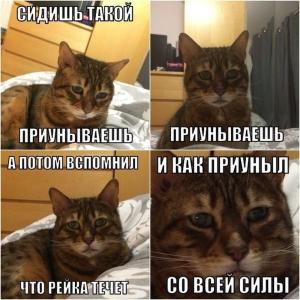 Автомобильные демотиваторы часть 479)