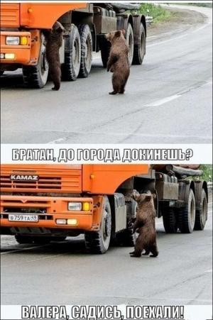 Автомобильные демотиваторы часть 481)