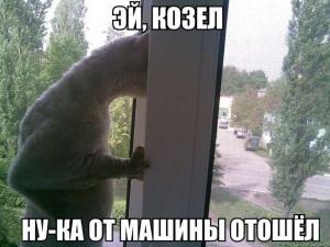 Автомобильные демотиваторы часть 481)
