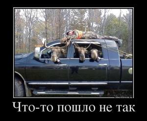 Автомобильные демотиваторы часть 484)