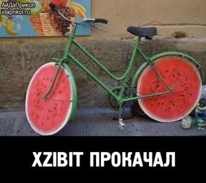 Автомобильные демотиваторы часть 486)
