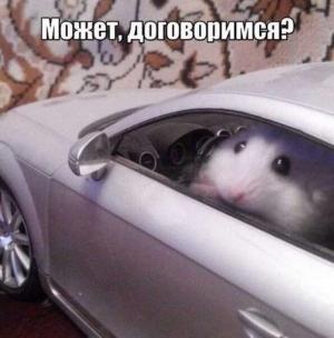 Автомобильные демотиваторы часть 491)