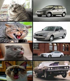 Автомобильные демотиваторы часть 492)