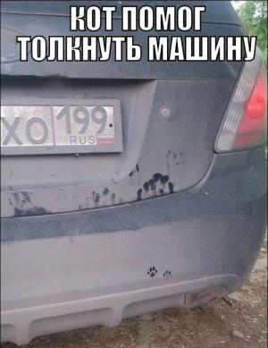 Автомобильные демотиваторы часть 492)