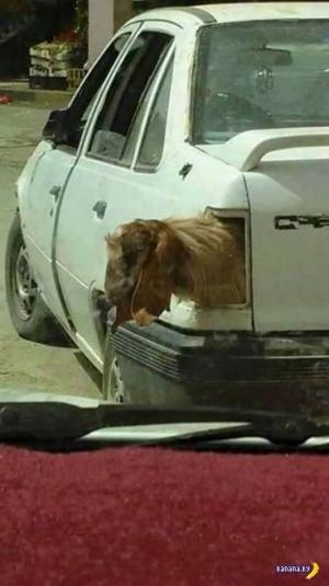 Автомобильная фотоподборка часть 495)