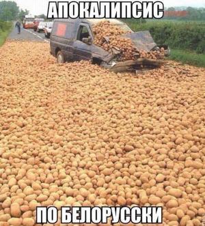 Автомобильные демотиваторы часть 495)