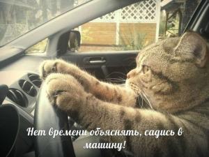 Автомобильные демотиваторы часть 496)