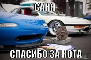 Автомобильные демотиваторы часть 498)