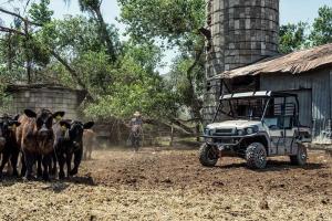 2016 Kawasaki Mule PRO-FXT