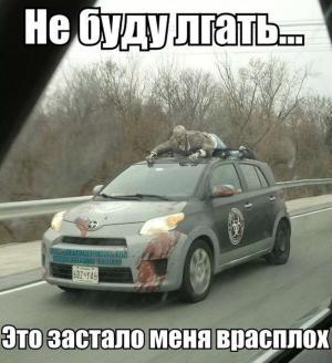 Автомобильные демотиваторы часть 502)