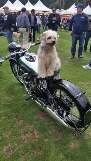 Quail Motorcycle Gathering 2015
