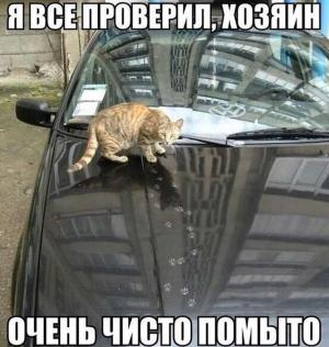 Автомобильные демотиваторы часть 504)