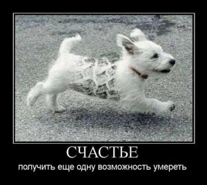 Автомобильные демотиваторы часть 505)