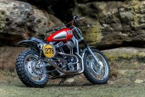 2010 Harley-Davidson XL1200 Dirt-Tracker by Shaw Speed & Custom