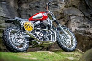 2010 Harley-Davidson XL1200 Dirt-Tracker by Shaw Speed & Custom