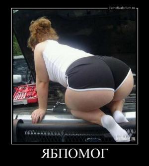 Автомобильные демотиваторы часть 506)