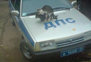 Автомобильная фотоподборка часть 507)
